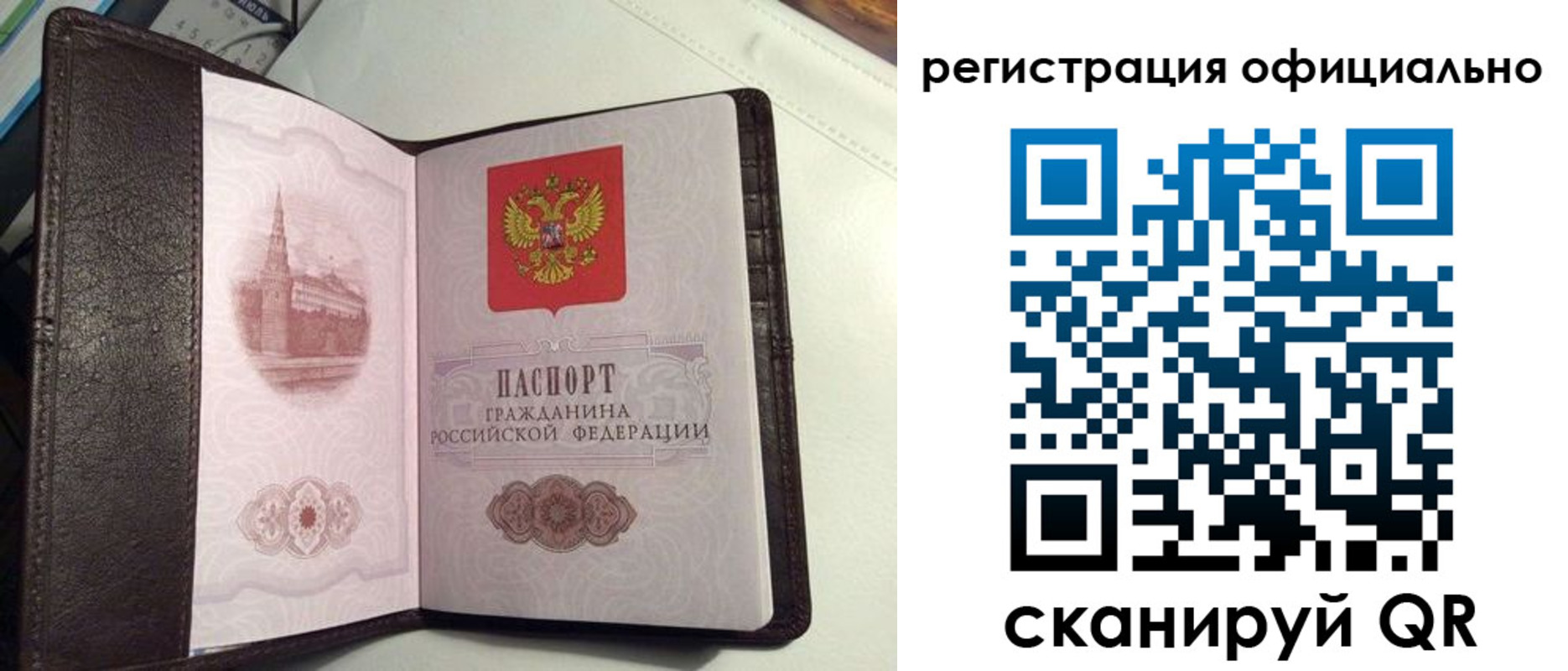 прописка ребенка в Лесозаводске