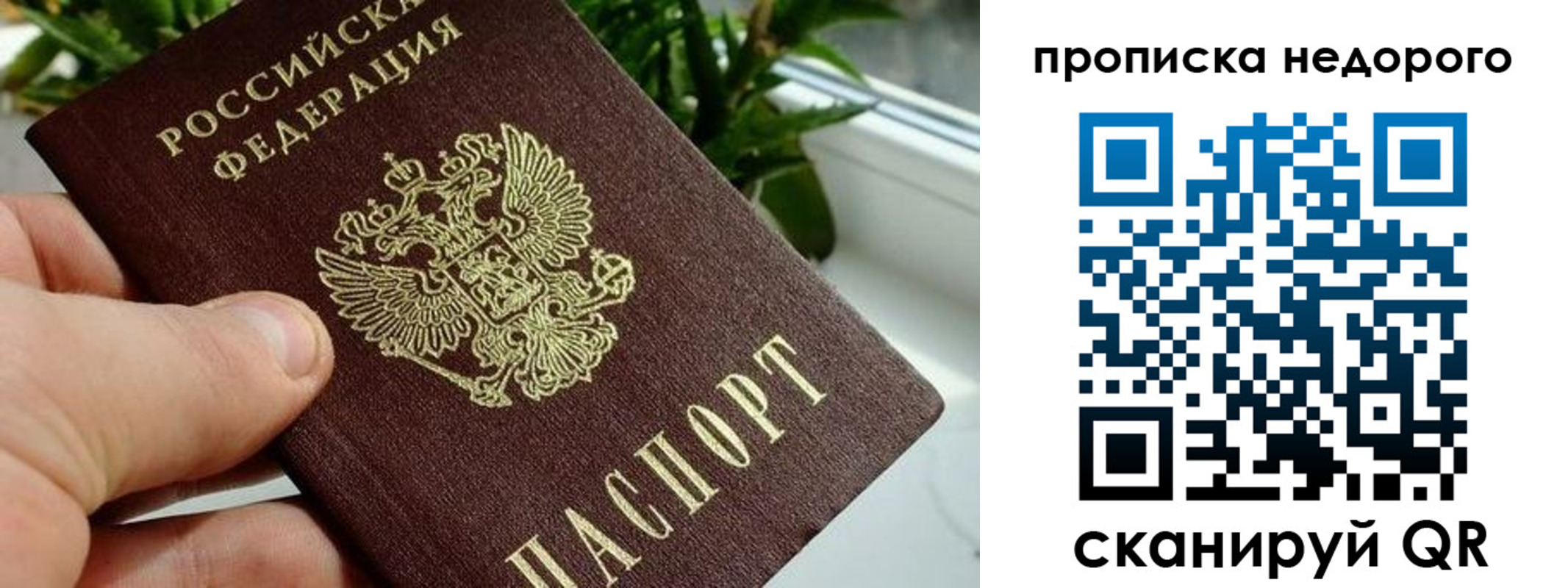 прописка для кредита в Лесозаводске